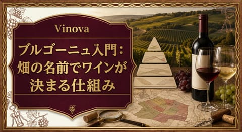 ブルゴーニュ入門：畑の名前でワインが決まる仕組みという記事タイトルと、ブルゴーニュの区画地図、格付けピラミッド、赤白ワインのグラスを並べたサムネイル