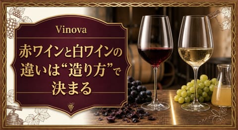 赤ワインと白ワインの違いは造り方で決まるという記事タイトルと、赤白のグラス、黒ブドウの皮、白ブドウの果汁を比較したサムネイル