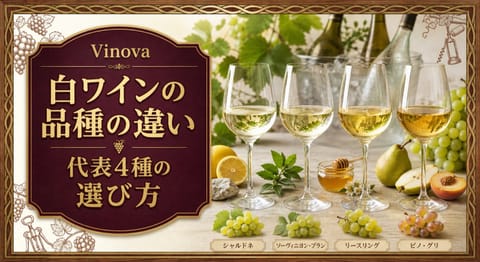 白ワインの品種の違いという記事タイトルと、代表4品種をイメージした4杯の白ワインと果実を並べたサムネイル