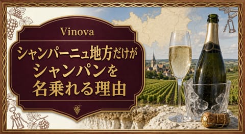 シャンパーニュ地方だけがシャンパンを名乗れる理由という記事タイトルと、白亜質土壌の畑、泡立つグラス、ボトルを配したサムネイル