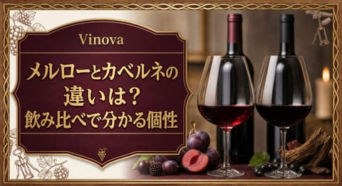 メルローとカベルネの違いは?という記事タイトルと、個性の異なる2杯の赤ワイン、プラム、黒系果実、樽材を並べたサムネイル