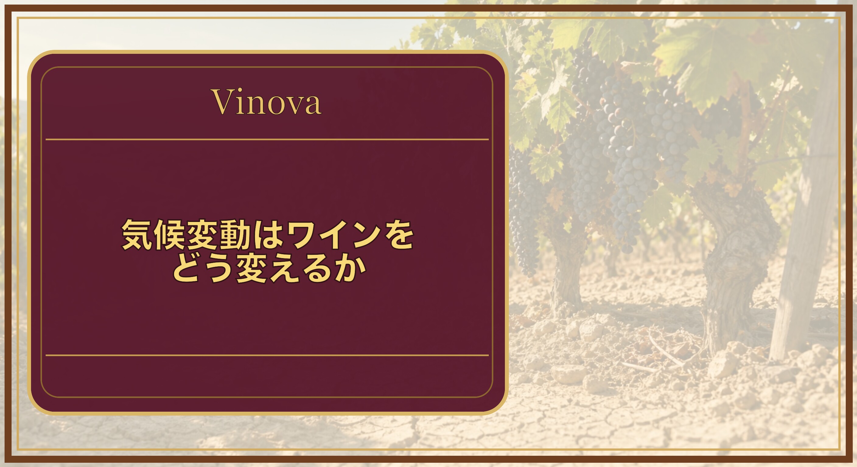 気候変動はワインをどう変えるかという記事タイトルと、強い日差しを受けるブドウ畑と、乾いた土壌に実る色づいたブドウを背景にしたサムネイル
