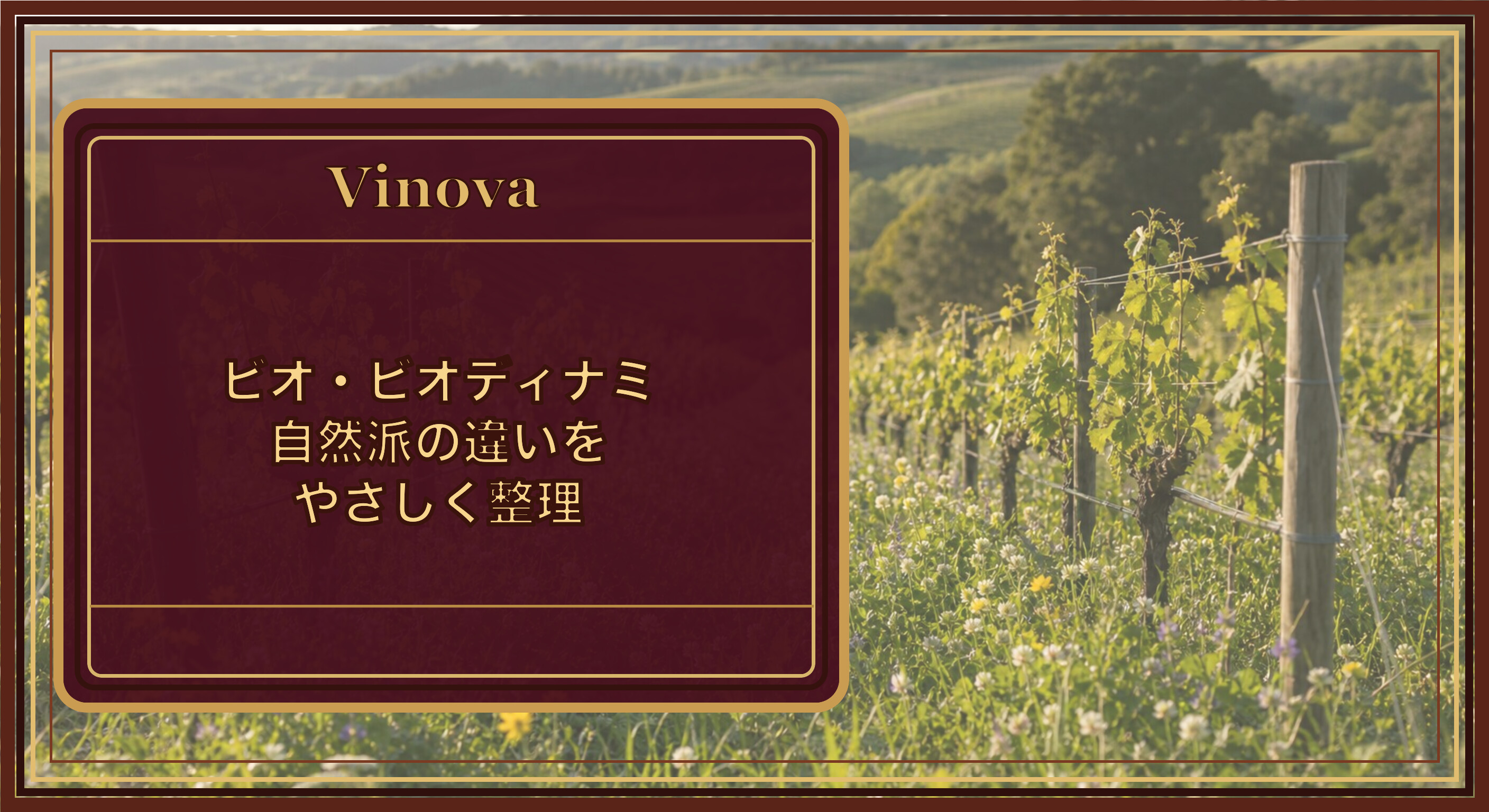 ビオ・ビオディナミ・自然派の違いをやさしく整理という記事タイトルと、畝の間に草花が生える有機栽培のブドウ畑を背景にしたサムネイル