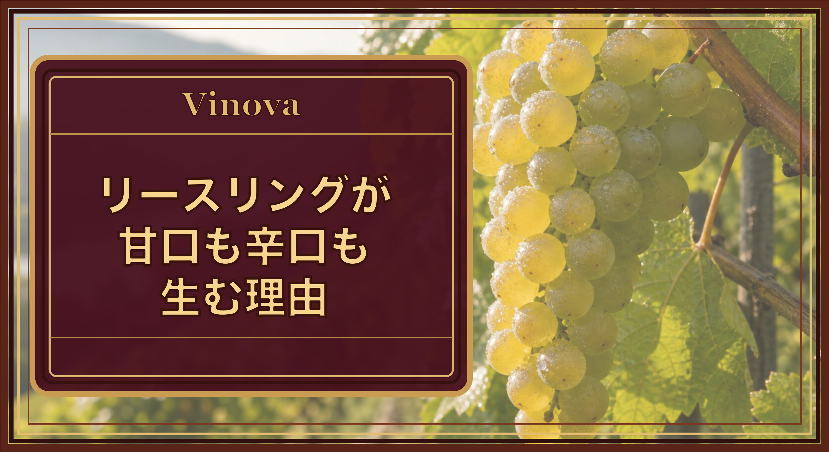 リースリングが甘口も辛口も生む理由という記事タイトルと、斜面の畑で完熟した黄緑色のリースリングの房を背景にしたサムネイル